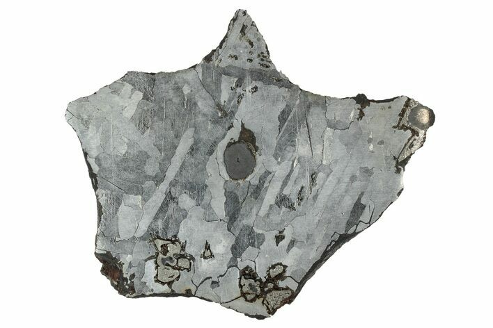 Etched Odessa Iron Meteorite End-Cut ( g) - Texas #329374
